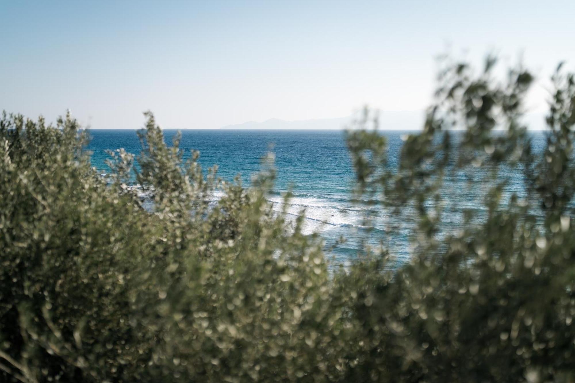 Aegean View Villa Loutra Elevtheron エクステリア 写真